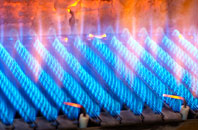 Garnant gas fired boilers